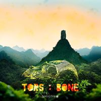 TORS - Bone