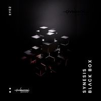 Synesis - Black Box
