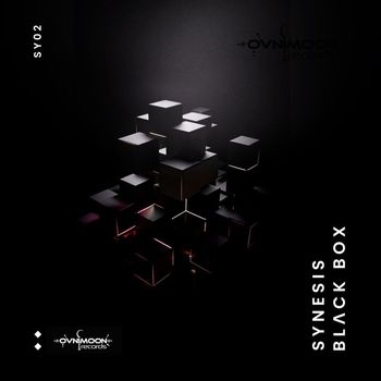 Synesis - Black Box