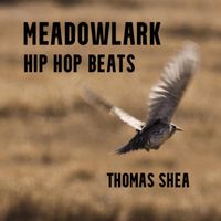 Thomas Shea - Meadowlark Hip Hop Beats