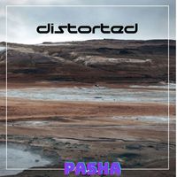 Pasha - Distorted