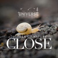 The Singing Universe - Close