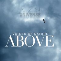 The Singing Universe - Above