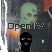 Bricks - Open IV