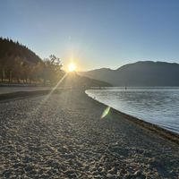 Leese - Unconditional