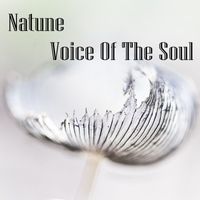 Natune - Voice Of The Soul (Explicit)