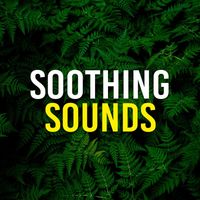 Deep Sleep - Soothing Sounds