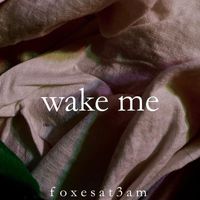 foxesat3am - wake me