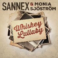 Sannex - Whiskey Lullaby