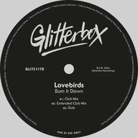 Lovebirds - Burn It Down (Club Mix)