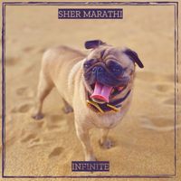 Infinite - Sher Marathi (Explicit)