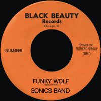Sonics Band - Funky Wolf
