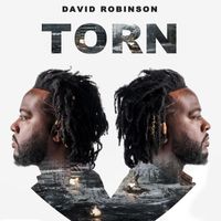 David Robinson - Torn