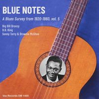 B.B. King, Sonny Terry and Brownie McGhee & Big Bill Broonzy - Blue Notes – A Blues Survey from 1920-1960, vol. 5