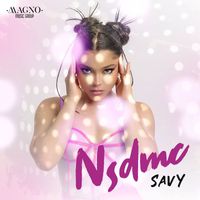 Savy - NSDMC