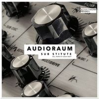 Audioraum - Sub Stitute