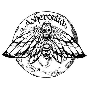 Acherontia - Metamorphosis