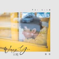 王越 - 盲区 (伴奏)