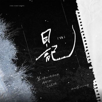 Vk - 日记
