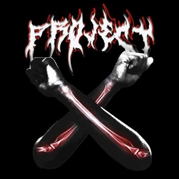 Project X - Robin (Explicit)