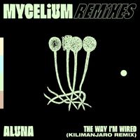 Aluna - The Way I'm Wired (KILIMANJARO Remix)