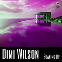 Dimi Wilson - Soaking Up