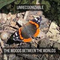 The Woods Between The Worlds - Unrecognizable