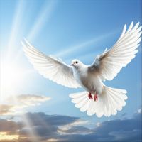 Silver Poet - Relaxing Hymns