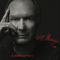 Luis Muñoz - Glimmering Path