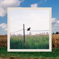 Backyard Neighbor - Prairie Hymnal
