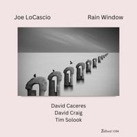 Joe LoCascio - Rain Window