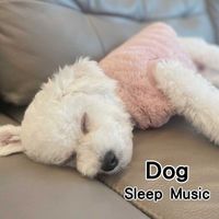 Tako - 狗狗睡眠音樂 (Dog Sleep Music)