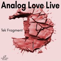 Analog Love Live - Tek Fragment