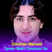 Zeeshan Marwat - Speen Makh Deedano Na