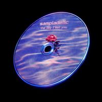 Sampladelic - The Day I Met You