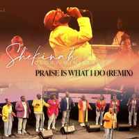 Shekinah Glory Ministry - Praise Is What I Do Remix