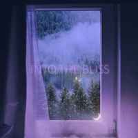 Into the Bliss - Stargazer