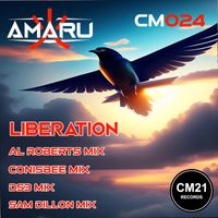 Amaru - Liberation