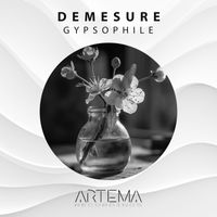 Demesure - Gypsophile