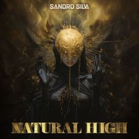 Sandro Silva - Natural High