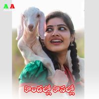 Lalitha Sagari - Kondallo Konallo