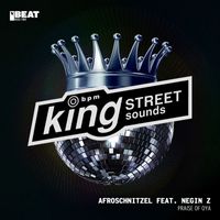 Afroschnitzel feat. Negin Z - Praise Of Oya