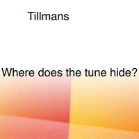 Wolfgang Tillmans - Where Does The Tune Hide?