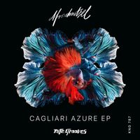 Afroschnitzel - Cagliari Azure EP