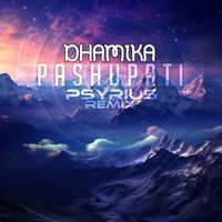 Dhamika - Pashupati (Psyrius Remix)