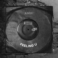 Amir - Feeling U