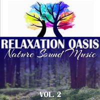 Waldgeräusche - Relaxation Oasis: Nature Sound Music, Vol. 2