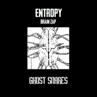 Entropy - Brain Zap