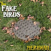 Fake Birds - Meridian