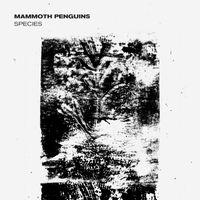 Mammoth Penguins - Species